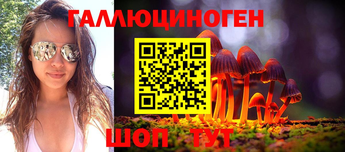 Псилоцибиновые грибы Psilocybine cubensis Воткинск